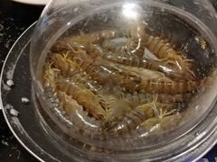 -日进一片海.生腌海鲜火锅.宵夜烧烤(三里屯总店)