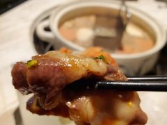 -汤城·料青山