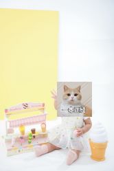 点击看大图 -Two Monkeys 孕婴写真馆(龙华店)