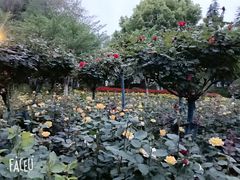 -堤角公园