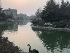 -芭东小镇温泉