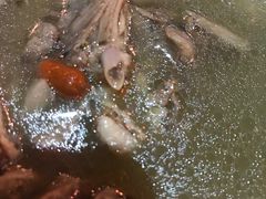 -乡吧啦·甲鱼铺子(海德二道店)
