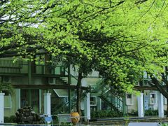 -喜洲吧·江畔老船厂·庭院餐厅(喜临院店)