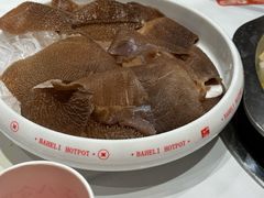 -八合里潮汕鲜牛肉火锅(吉大店)