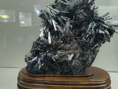 -甘肃地质博物馆