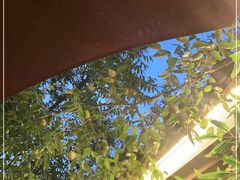 -床吧创意私房菜•Bistro