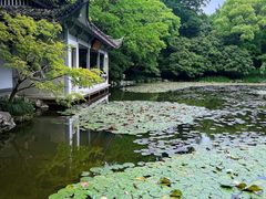 -杭州植物园