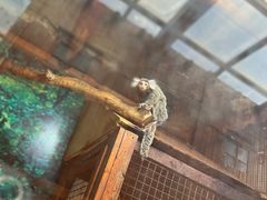 -上海大自然野生昆虫馆