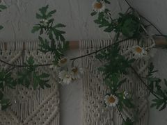 -循礼门鲜花花市(武汉循礼门店)