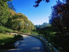 -大望京公园