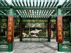 -西海子公园