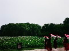 -东郊湿地公园