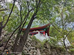 -高尔山公园