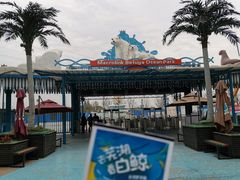 -芜湖新华联大白鲸海洋公园