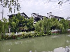 -八大山人梅湖景区