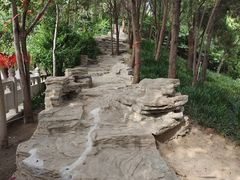 -翰园碑林