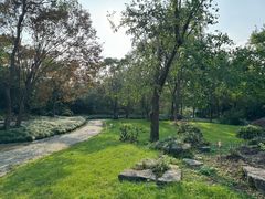 -上海海湾国家森林公园