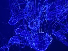 -青岛得宝湾维景国际大酒店(五四广场奥帆中心店)