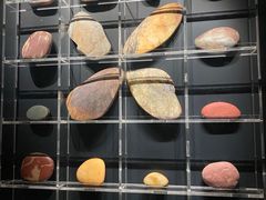 -金沙遗址博物馆