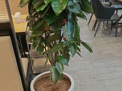 -潮牛鲜天下(小店富康店)