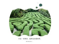 -大屏嶂森林公园