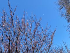 -上海滨江森林公园