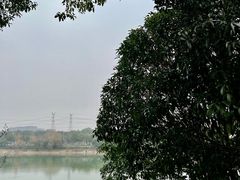 -羊山湖公园