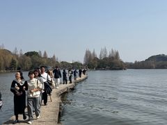 -鲁镇