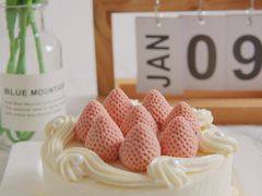 -壹点壹客·生日蛋糕(龙岗店)
