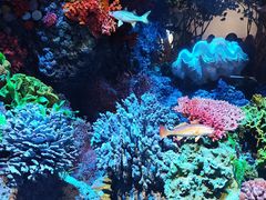 -中国湿地博物馆