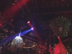 -胡桃里音乐酒馆(白云五号T5 MALL店)