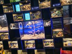 -太平洋海底世界