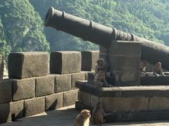 -白帝城·瞿塘峡景区