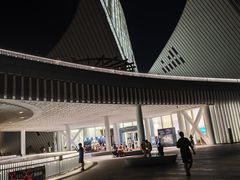 -福州海峡文化艺术中心