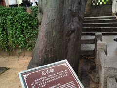 -青岛崂山太清宫