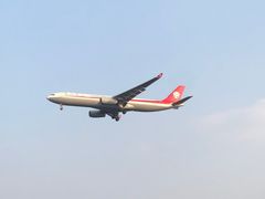 -空港花田景区