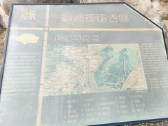 -白水寺森林公园