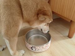 -柴の食堂·日式家庭料理·熊之肆(大学路店)
