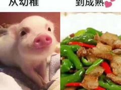 -星巴克(广州中华广场B1层店)