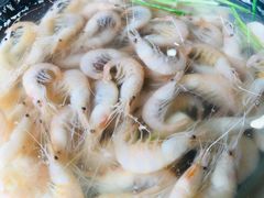 -呼吸森林·生态农庄农家乐私房菜