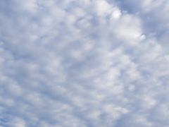 -仰口沙滩