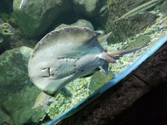 -苏州海洋馆
