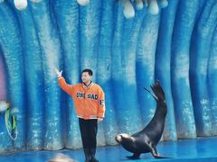 -华夏文旅海洋公园