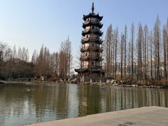 -桃花岛公园