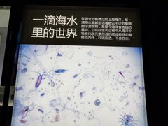 -同济大学四平路校区深海探索馆