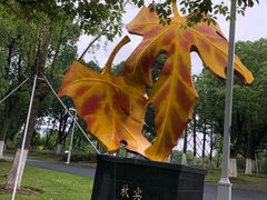 -白塘生态植物园