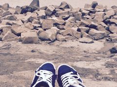 -南汇嘴观海公园