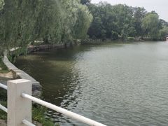 -二一九公园