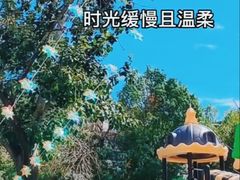 -贝美蓝天幼儿园(河东直沽园)