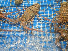 -三亚火车头万人海鲜广场